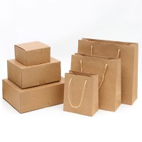 PC013 Exquisite paper bag kraft paper box fashion shopping bag kraft paper bag green bag manufacturers